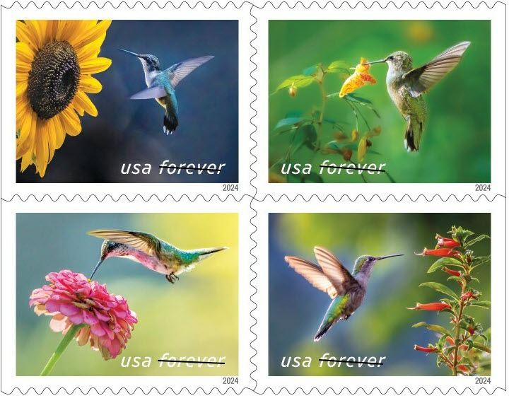 Garden Delights Hummingbird Stamps