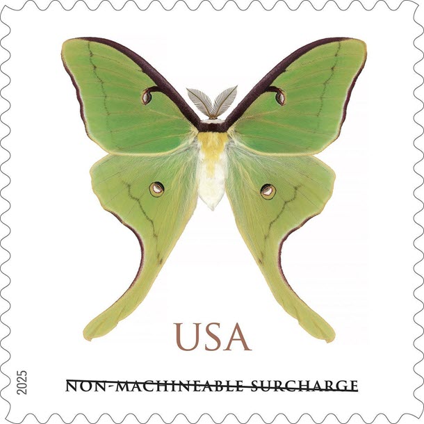Luna Moth Stamp